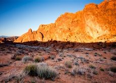 desert photography