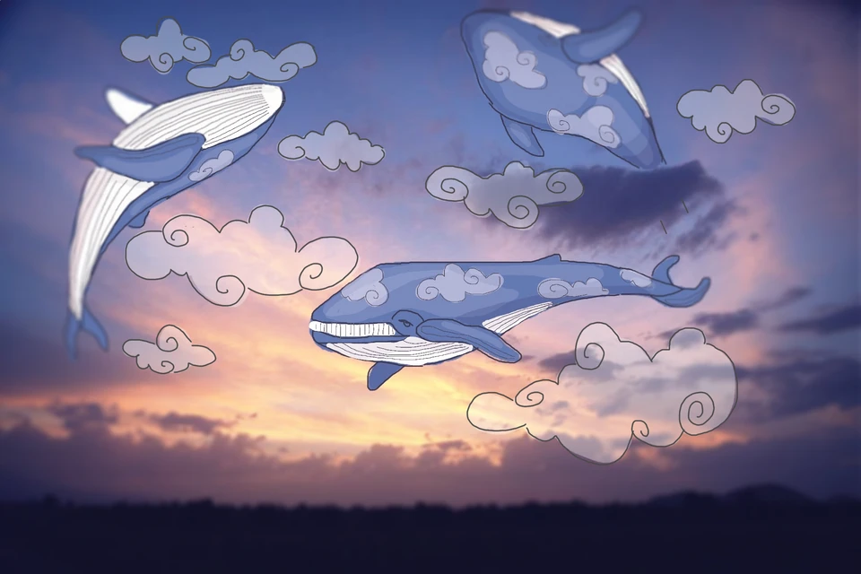 Edited Drawing Sketch Sky Clouds Whale Image By Marina