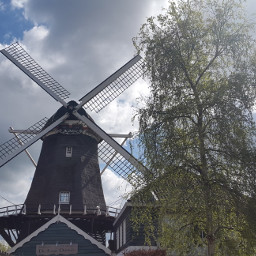 mill TheNetherlands