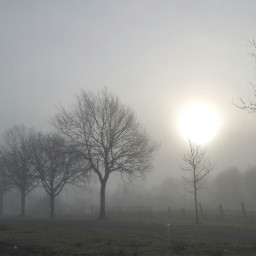 TheNetherlands Holland sky spring hdr fog spooky mysterious landscape